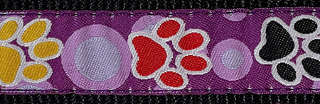 PURPLE PAWS   